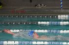 Swimming vs Babson  Wheaton College Swimming & Diving vs Babson College. - Photo By: KEITH NORDSTROM : Wheaton, Swimming